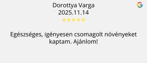 Bernikert Webshop vélemény