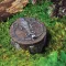 Gnóm csapóajtó