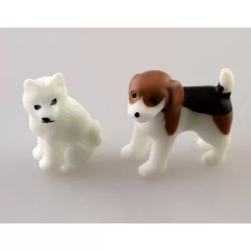 Fehér/beagle kutya