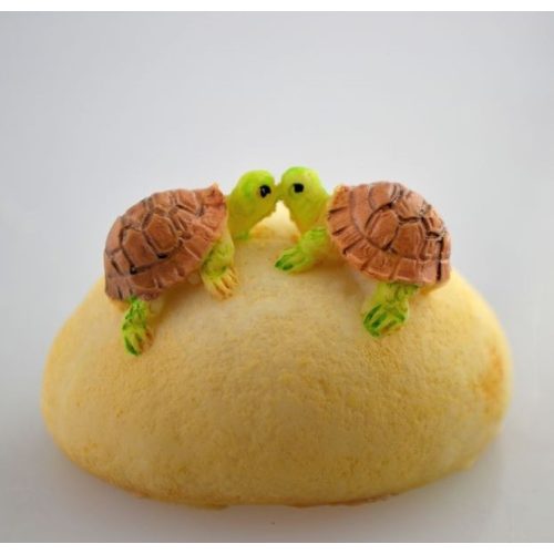 Mini teknősök sziklán