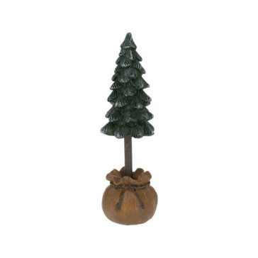 Fenyő kaspóban 12cm