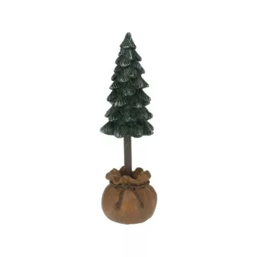 Fenyő kaspóban 12cm