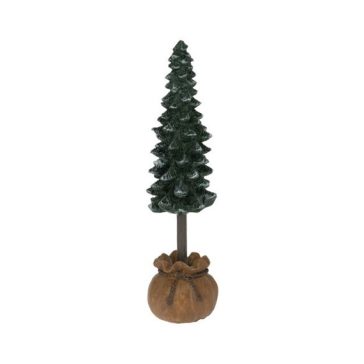 Fenyő kaspóban 14cm