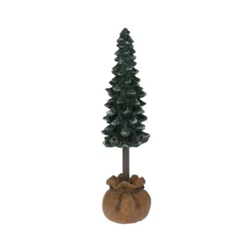 Fenyő kaspóban 14cm