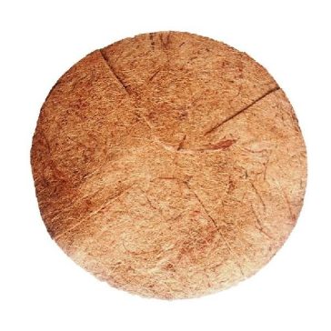 Felakasztható virágkosár kókuszrost betéttel 25 cm