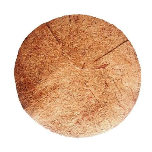 Felakasztható virágkosár kókuszrost betéttel 25 cm