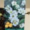 Chaenomeles speciosa 'Nivalis' - Fehér virágú japánbirs