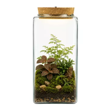 Florárium üveg parafa tetővel Led világítással 25 cm