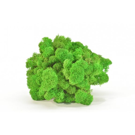 Zuzmó faliképekhez, dekorációhoz 1kg világoszöld