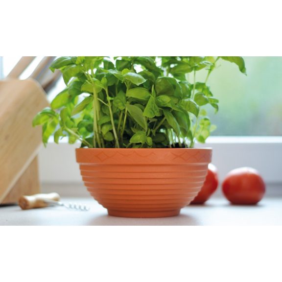 Misa virágcserép Ø15cm