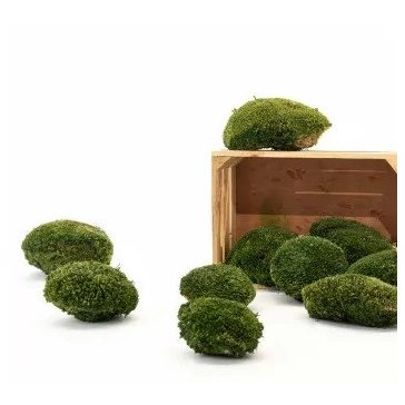   Tartósított gömb moha faliképekhez, dekorációhoz Nature Green