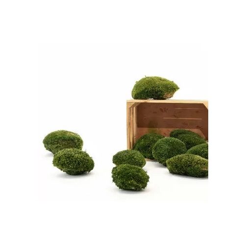 Tartósított gömb moha faliképekhez, dekorációhoz Nature Green
