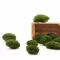 Tartósított gömb moha faliképekhez, dekorációhoz Nature Green