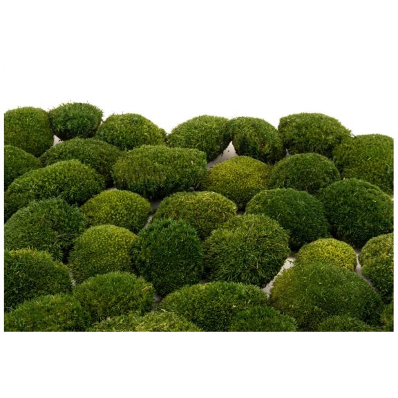 Tartósított mini gömb moha faliképekhez, dekorációhoz  Nature Green