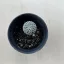 Pelecyphora Aselliformis kisebb