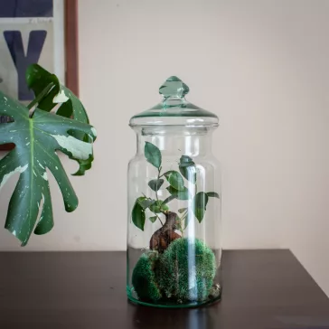 Florárium üveg tetővel