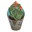 Aloe variegata - Tigris aloe