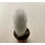 Austrocephalocereus dybowskii - Őszapó S méret