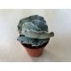 Cotyledon undulata