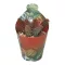 Crassula capitella thyrsiflora