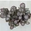 Fittonia - halvány rózsaszín