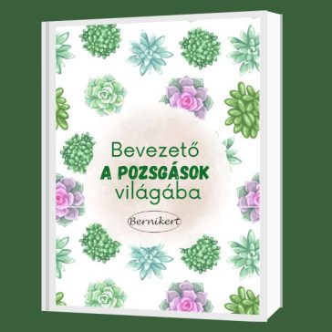 Bevezető a pozsgások világába E-könyv