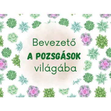 Bevezető a pozsgások világába E-könyv