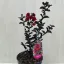 Kínai selyemmirtusz - Lagerstroemia 'Black Diamond Crimson Red'