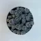 Kavicskaktusz - Lithops