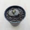 Kavicskaktusz - Lithops
