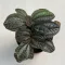 Pilea 'Norfolk' kisebb