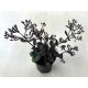 Sedum hibrid