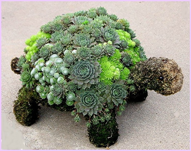 Pozsgás teknős kerti dekoráció