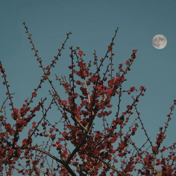 Holdnaptár - Március