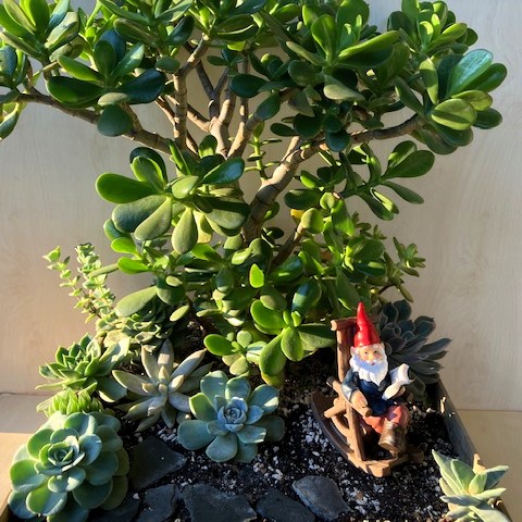 Minikert két stílusban