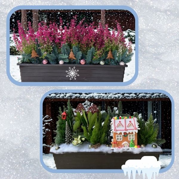 Téli virágládák nálunk